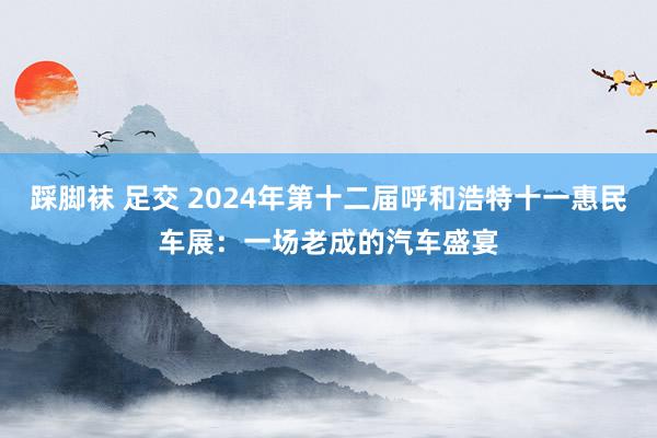 踩脚袜 足交 2024年第十二届呼和浩特十一惠民车展：一场老成的汽车盛宴