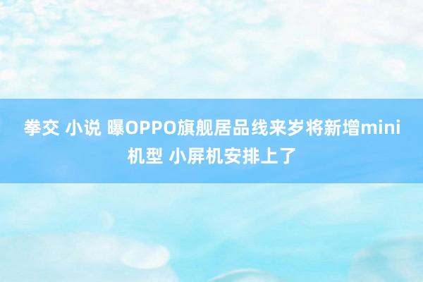 拳交 小说 曝OPPO旗舰居品线来岁将新增mini机型 小屏机安排上了