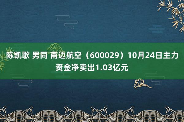 陈凯歌 男同 南边航空（600029）10月24日主力资金净卖出1.03亿元