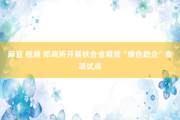 麻豆 视频 郑商所开展铁合金期货“绿色助企”专项试点