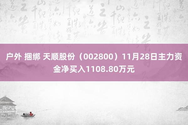 户外 捆绑 天顺股份（002800）11月28日主力资金净买入1108.80万元