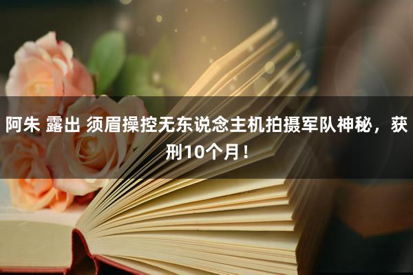 阿朱 露出 须眉操控无东说念主机拍摄军队神秘，获刑10个月！