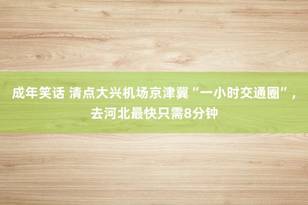成年笑话 清点大兴机场京津冀“一小时交通圈”，去河北最快只需8分钟