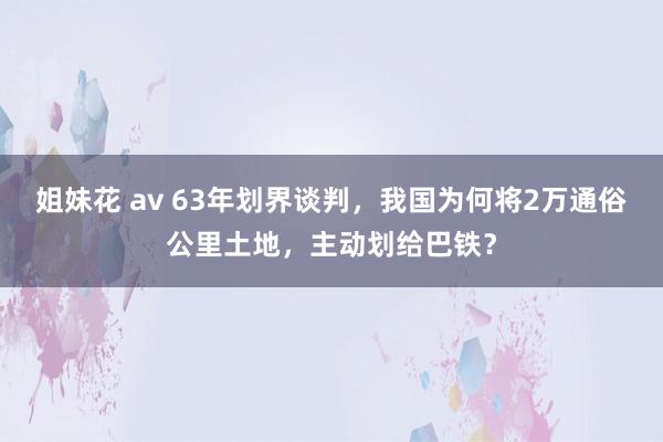 姐妹花 av 63年划界谈判，我国为何将2万通俗公里土地，主动划给巴铁？