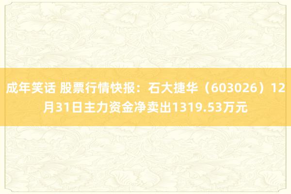 成年笑话 股票行情快报：石大捷华（603026）12月31日主力资金净卖出1319.53万元