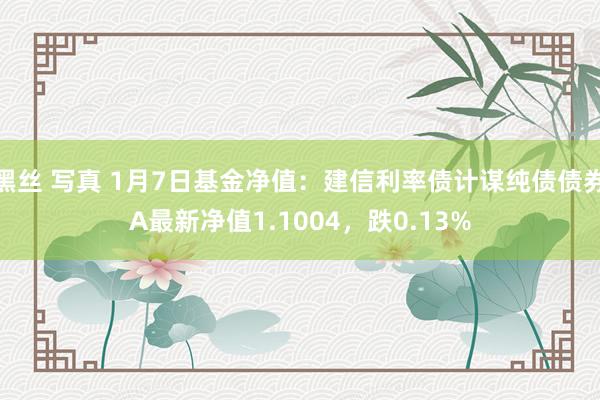黑丝 写真 1月7日基金净值：建信利率债计谋纯债债券A最新净值1.1004，跌0.13%