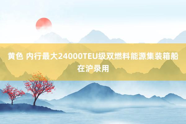 黄色 内行最大24000TEU级双燃料能源集装箱船在沪录用
