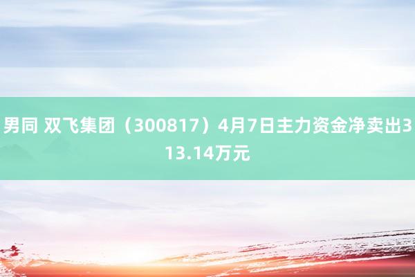 男同 双飞集团（300817）4月7日主力资金净卖出313.14万元